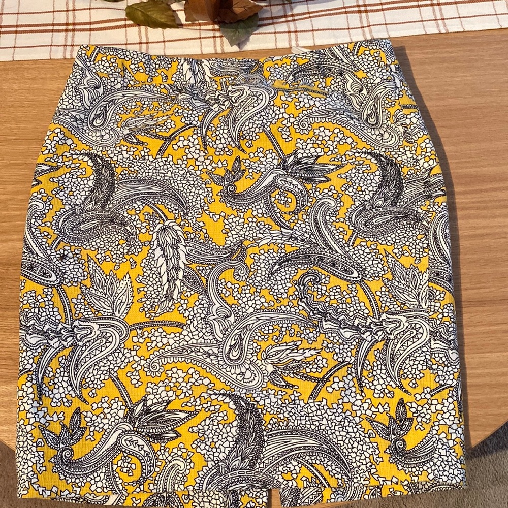 J Crew Factory skirt